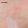 Portastatic - The Summer Of The Shark (Reissue)