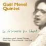 Gael Mevel -quintet- - Le Promesse Du Chant