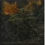 Postcoital Ulceration - Continuation Of Defective Existence