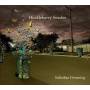 Hunckleberry Swedes - Suburban Dreaming