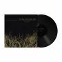 If These Trees Could Talk - If These Trees Could Talk Ep