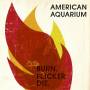 American Aquarium - Burn.flicker.die