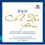 BACH J. S. - Soli Deo Gloria