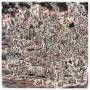 Cass Mccombs - Big Wheel And Others (vinyl+mp3)