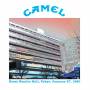 Camel - Kosei Nenkin Hall, Tokyo 1980 (Clear Blue Vinyl)