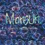 Mansun - Attack Of The Grey Lantern (Black Vinyl)