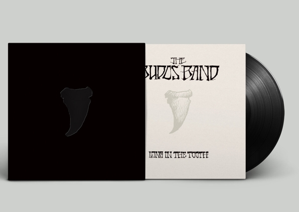 Long In The Tooth (LP+ MP3) 1