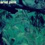 Ariel Pink - Odditties Sodomies Vol.3 (LP)