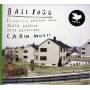 Ballrogg Ballrogg - Cabin Music