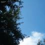 Cloud Nothings - Turning On (Reissue)