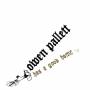 Owen Pallett - Has A Good Home (LP+MP3)