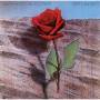 Keith Jarrett - Death & The Flower