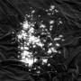 Peals - Walking Field