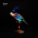 V / A - fabric 78: Raresh