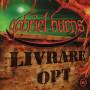 Gabriel Burns - 40/Livrare opt