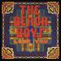 The Beach Boys - Love You