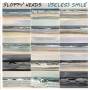 Sloppy Heads - Useless Smile