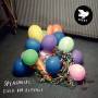 Splashgirl - Field Day Rituals