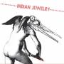 Indian Jewelry - We Are The Wild
