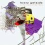 GWIAZDA / LA BERGE / . . . - Notnotesnotrhythms