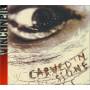 Vince Neil - Carved In Stone