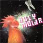 Holy Molar - The Whole Tooth And Nothing But The Tooth