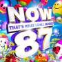 Various - Now That's What I Call Music Vol.87
