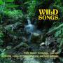 Heitzeg / Cornelius / Faw / Barringer / Cudd - Wild Songs