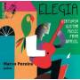 Marco Pereira - Elegia-Virtuoso Guitar Music from Brasil
