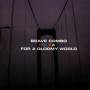 Brave Combo - Polkas For A Gloomy World