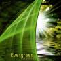 Robert Fox - Evergreen