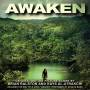 Brian Ralston & Kays Al-Atrakchi - Awaken