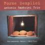 Antonio Zambrini Trio - Forme Semplici