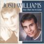 Josh Williams - Now That You're Gone