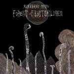 Kikagaku Moyo - Forest of the Lost Children