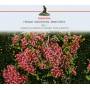 Chamber Philharmonic Of Bohemia - French Orchestral Miniatures 1