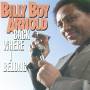 Billy Boy Arnold - Back Where I Belong