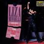 Liza Minnelli - Highlights From Carnegie Hall