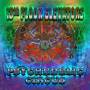 Thirteenth Floor Elevator - Psychedelic Circus