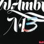 WOLFGANG AMBROS - No. 13