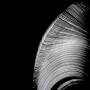 Near The Parenthesis - Helical