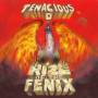 Tenacious D - Rize Of The Fenix