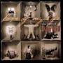 Dan Hill - LOVE OF MY LIFE: THE BEST OF