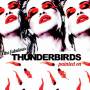 Fabulous Thunderbirds - Painted On
