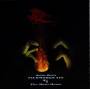john Zorn - Filmworks XIX: Rain Horse