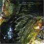 Helene Breschand / Jean-francois Pauvros - Sombre