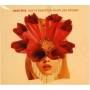 Swan Dive - You're Beautiful / Words