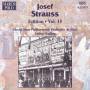 Arthur Kulling / Sspo Kosice - Josef Strauss-Edition Vol.15