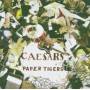 Caesars - Paper Tigers