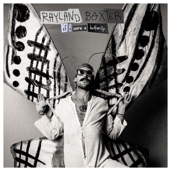 If I Were A Butterfly 1